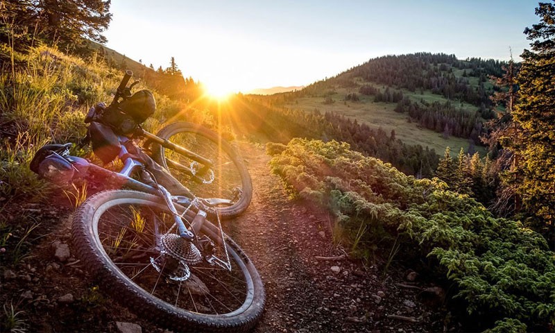 aliquid-repellendus-fugiat-recusandae-consequatur-iure-perferendis-cum